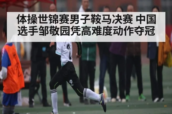 体操世锦赛男子鞍马决赛 中国选手邹敬园凭高难度动作夺冠